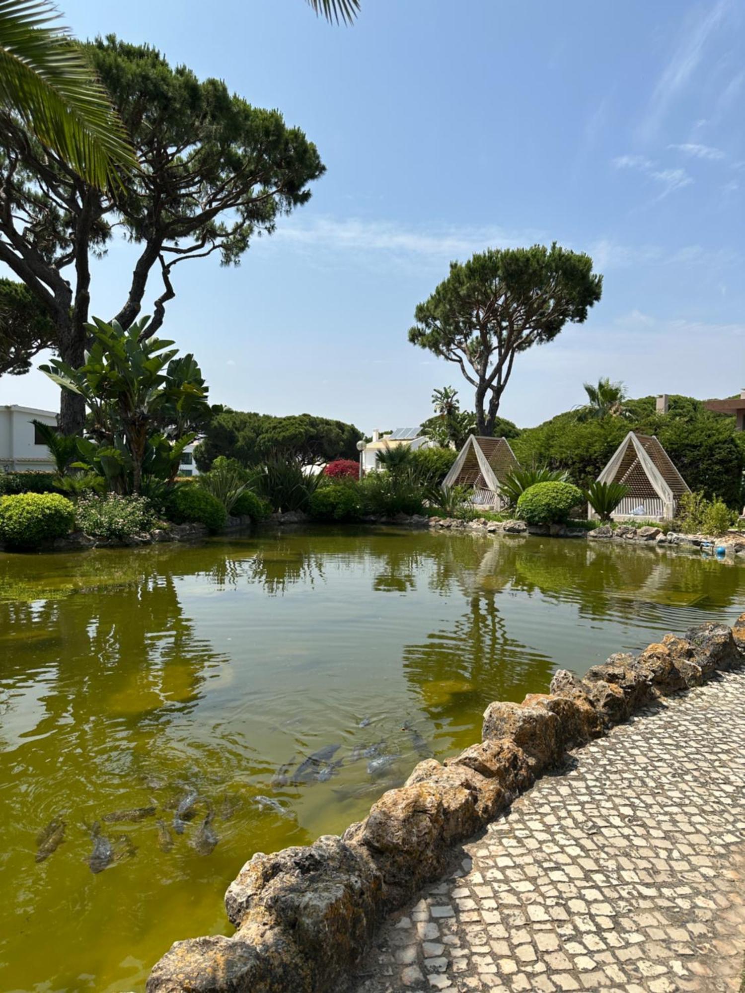 Falesia - Adults Only 4* Albufeira